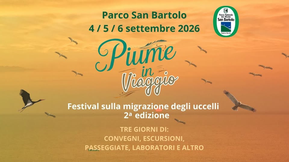 Locandina di Piume in viaggio - 2ª edizione